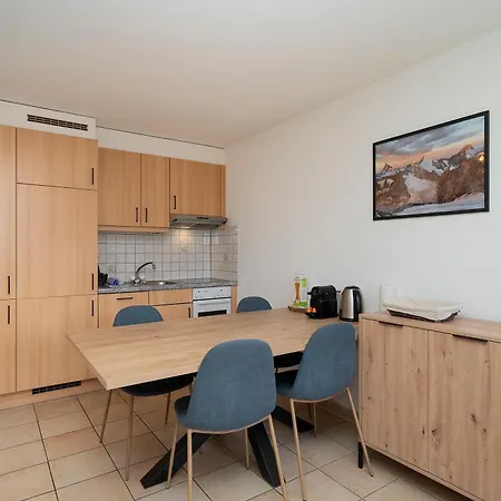 2,5 Plein Sud Avec Terrasse Daire *